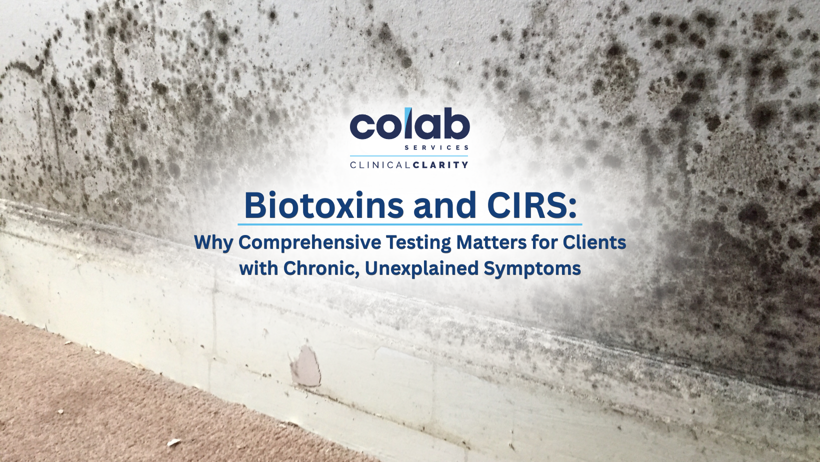 CIRS Testing for Practitioners | Comprehensive Biotoxin & Chronic Inflammation Assessment